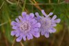 20060819_hakubatrip_011